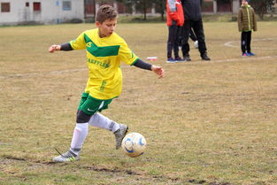 开云入口-CBA赛场激情四射青春无限,cba激情音乐