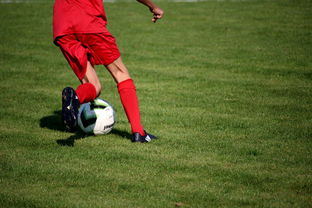 开云电竞赛事-篮球运动员心理健康维护与干预体系构建,篮球运动员心理训练